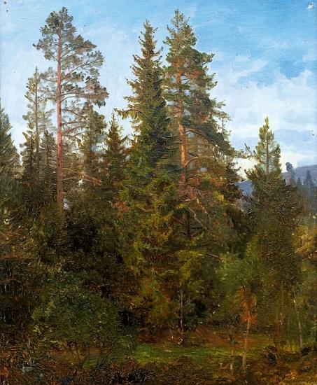 Anders Askevold Skogsstudie fra Eide oil painting image